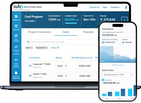 svbgo login